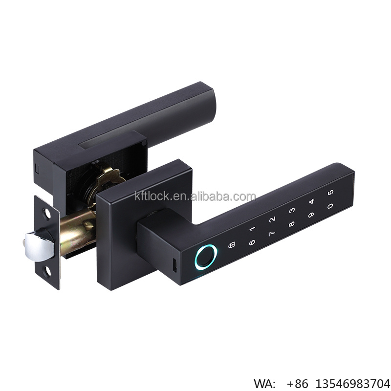 Digital Door Lock Fingerprint Handle - デジタル電気パスワード指紋認証スマートレバーハンドルドアロック（寝室入口用）
