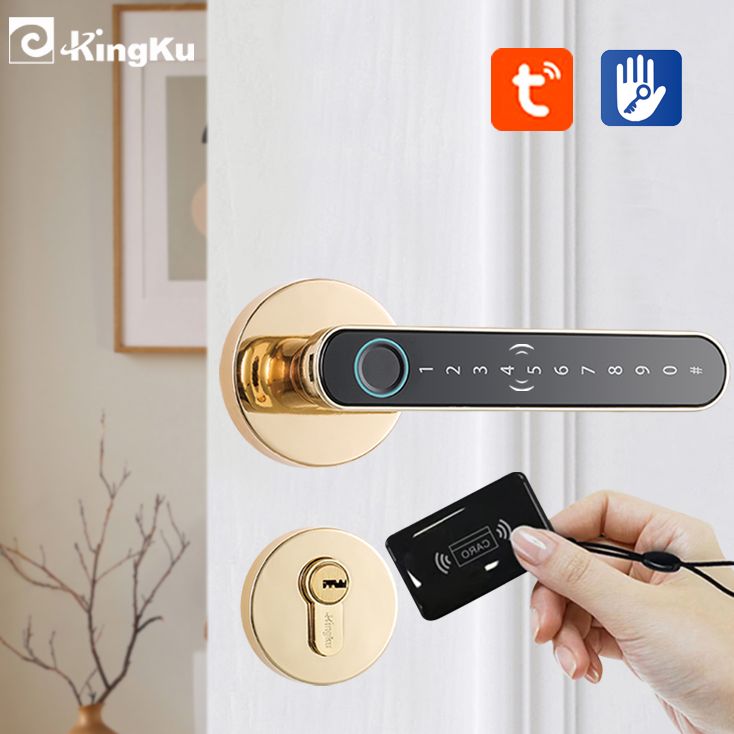 Digital Door Lock Fingerprint Handle - スマート指紋ドアロックハンドル,キーカード付き家のアパート,デジタルドア,キーレス,電子ロック