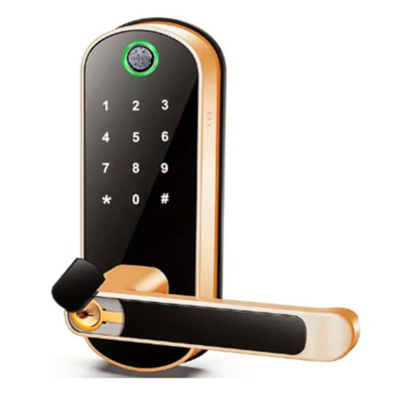 Smart Door Lock Tuya App - AB25-Tuya Wifi スマート指紋ドアロックアプリリモコンキーレス WIFI デジタルタッチスクリーンロック IP67