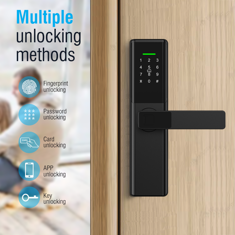 Face Recognition Door Lock - テアン スマートデジタルドアロック 電気錠 WiFiアプリ ネットワーク接続 アルミ・木製・スチール・真鍮製ドア対応