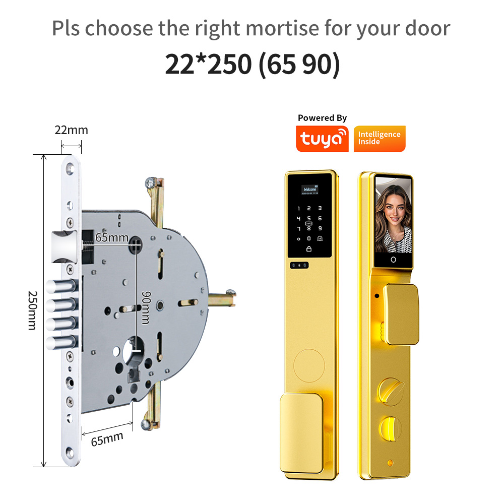 防水機能付き3D顔認識、手のひら認証対応、ビデオ通話機能付き - Smart Door Lock 3D Face Palm Vein のレビューと価格