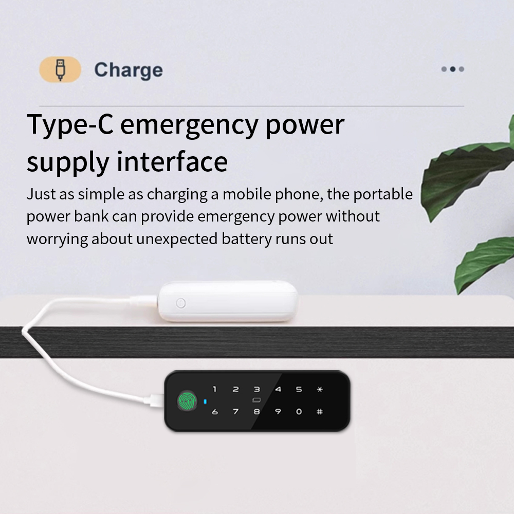 Tuya Bluetooth スマート木製キャビネット指紋ロ - Smart Lock For Sliding Door のレビューと価格