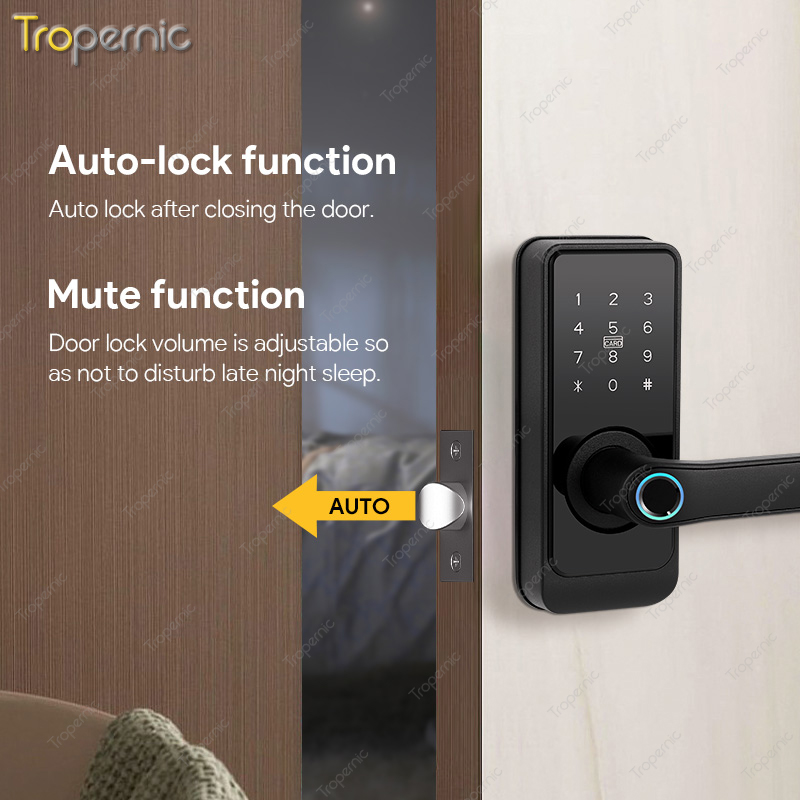 スマートデッドボルト Tuya SmartLife Wifi - Smart Lock Deadbolt Keypad Bluetooth のレビューと価格