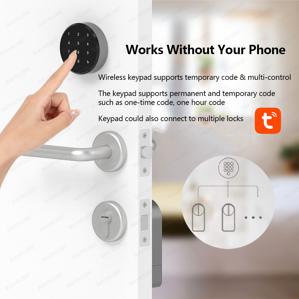 RAYKUBE A1 Pro Tuya BEL スマート電子 - Smart Door Lock Tuya App のレビューと価格