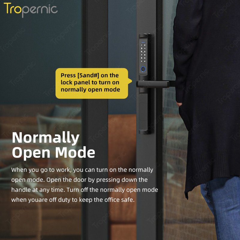 生体認証指紋ドアロック,防水,ガラスおよびアルミニウムドア用 - Smart Lock Zigbee Gateway のレビューと価格
