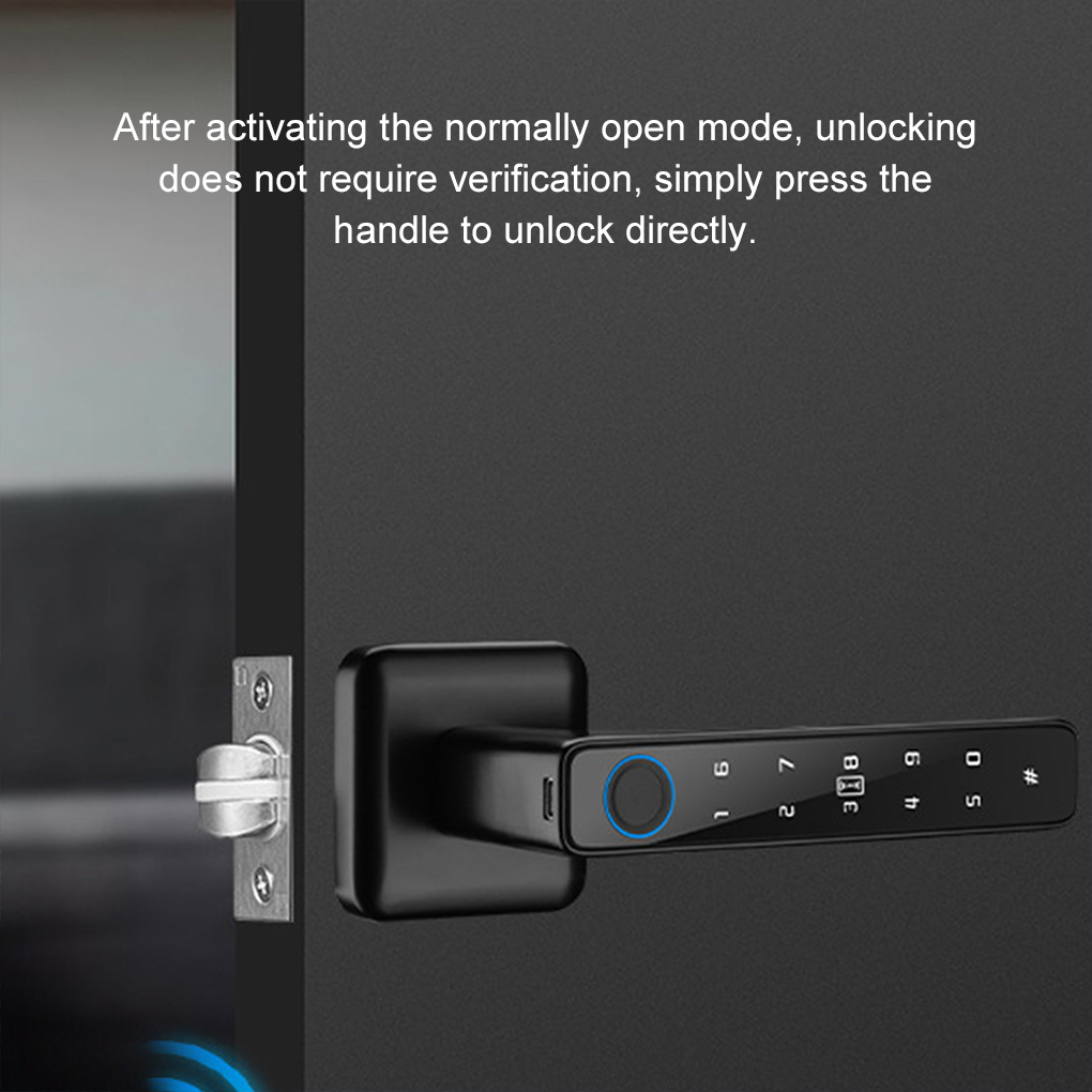 Tuya デジタルスマートドアロック 複数のアクセス方法対応 - Digital Door Lock Fingerprint Handle のレビューと価格