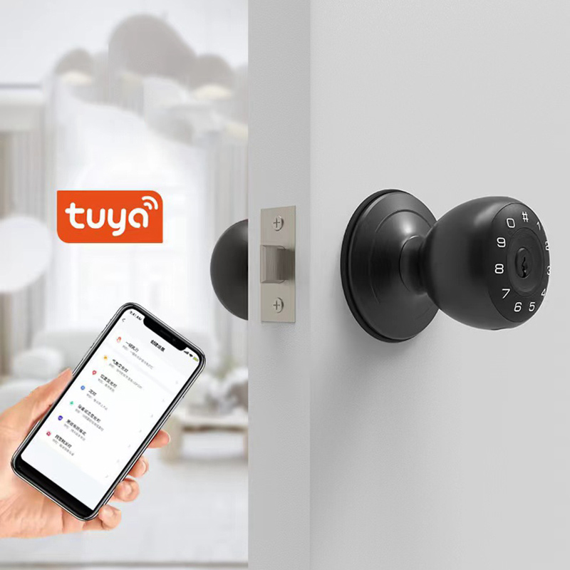 あなたのもの-指紋付きスマートデッドボルトロック,パスワード - Smart Lock Deadbolt Keypad Bluetooth のレビューと価格