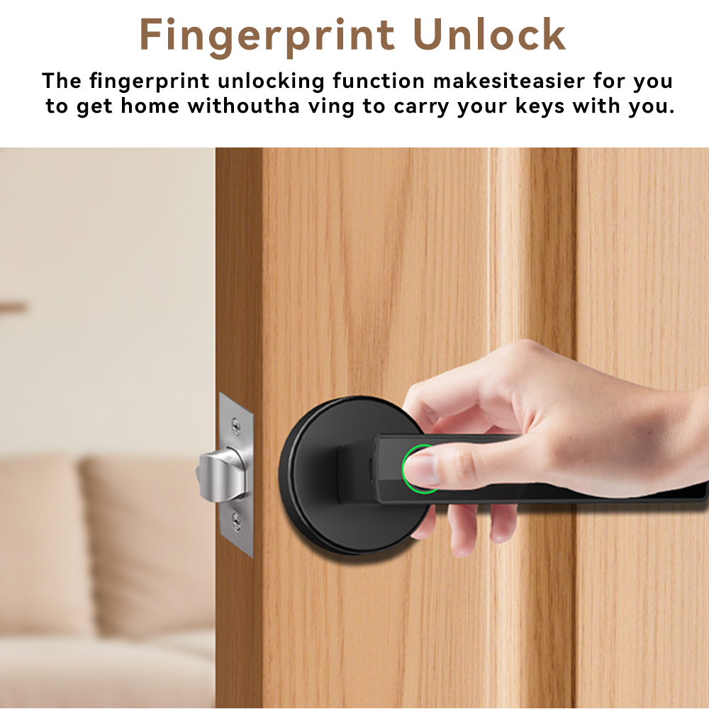 デッドボルト式、デジタル指紋認証、電動パスワード、スマートキ - Digital Door Lock Fingerprint Handle のレビューと価格