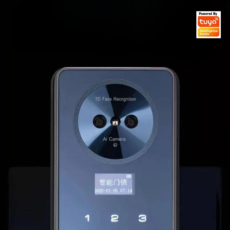 スマートロック、顔認識、自動開錠、家庭用、手のひら静脈認証、 - Video Door Lock With Camera Peephole のレビューと価格