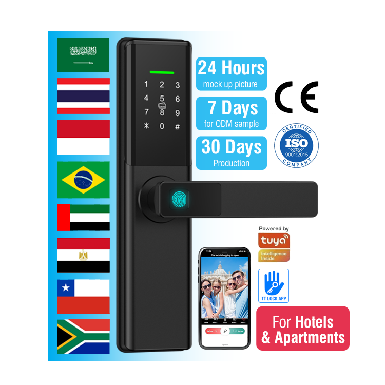 テアン スマートデジタルドアロック 電気錠 WiFiアプリ  - Face Recognition Door Lock のレビューと価格
