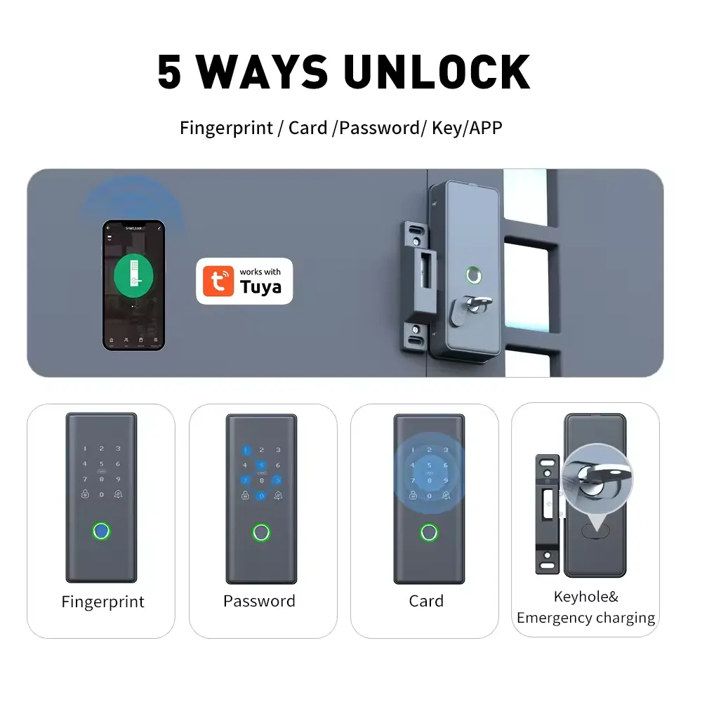 指紋認証両面リムドアロック、コードカードデッドボルト、Tuy - Smart Rim Lock Wifi Fingerprint のレビューと価格