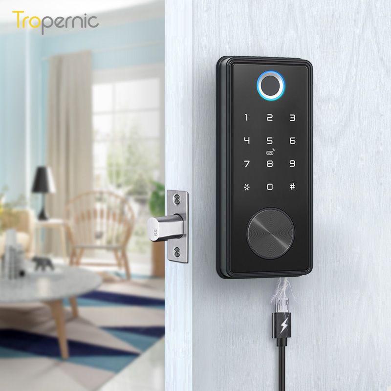 セラドゥラ インテリジェンテ指紋ロック ドア Tuya WI - Smart Lock Deadbolt Keypad Bluetooth のレビューと価格
