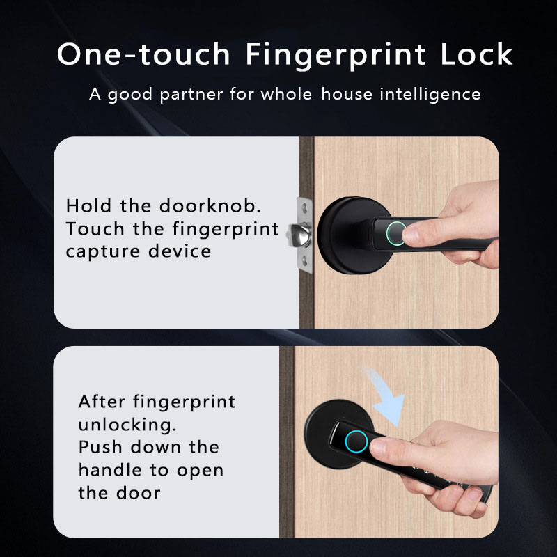 Tuya スマート指紋ロック Bluetooth ワイヤレス - Digital Door Lock Fingerprint Handle のレビューと価格